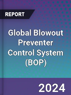 Global Blowout Preventer Control System Industry