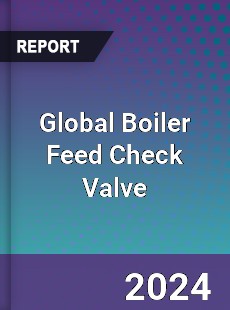 Global Boiler Feed Check Valve Industry