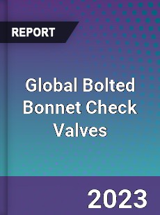 Global Bolted Bonnet Check Valves Market