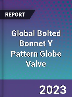 Global Bolted Bonnet Y Pattern Globe Valve Industry