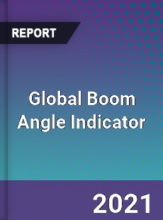 Global Boom Angle Indicator Market