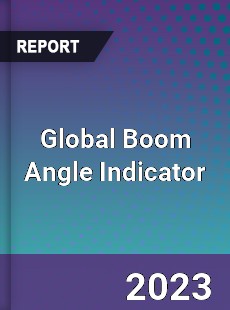 Global Boom Angle Indicator Market