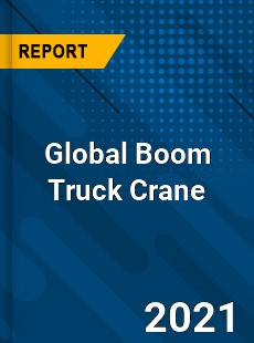 Global Boom Truck Crane Market