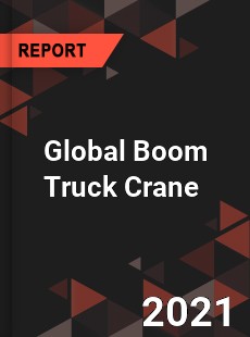 Global Boom Truck Crane Market