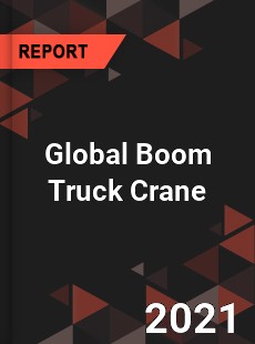 Global Boom Truck Crane Market