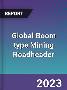 Global Boom type Mining Roadheader Industry