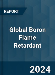 Global Boron Flame Retardant Industry