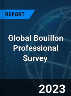 Global Bouillon Professional Survey Report