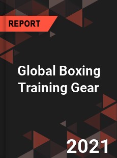 Global Boxing Training Gear Market