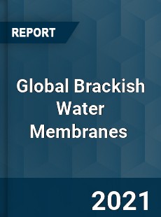 Global Brackish Water Membranes Market