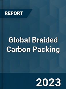 Global Braided Carbon Packing Industry