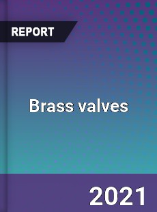 Global Brass valves Professional Survey Report