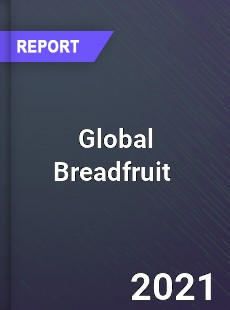 Global Breadfruit Market