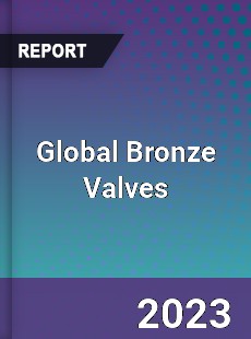 Global Bronze Valves Market