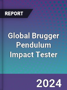 Global Brugger Pendulum Impact Tester Industry