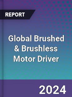 Global Brushed amp Brushless Motor Driver Market