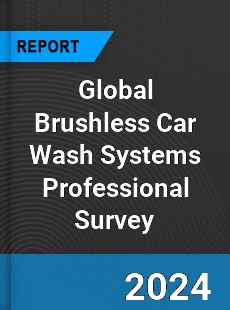 Global Brushless Car Wash Systems Professional Survey Report