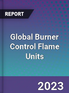 Global Burner Control Flame Units Industry