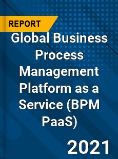 Global Business Process Management Platform as a Service Market