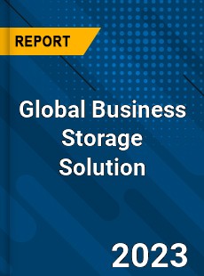 Global Business Storage Solution Industry