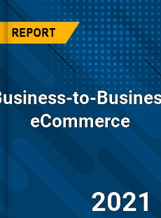 Global Business to Business eCommerce Market