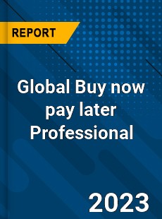 Global Buy now pay later Professional Market