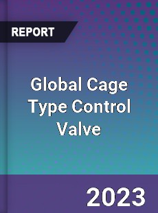 Global Cage Type Control Valve Industry