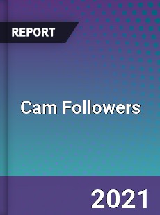 Global Cam Followers Professional Survey Report