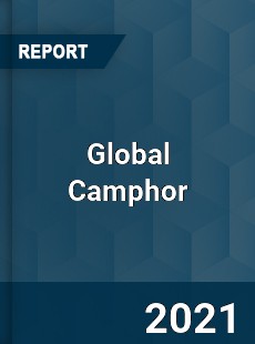 Global Camphor Market