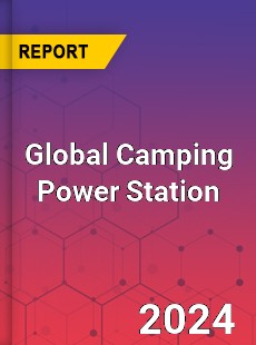 Global Camping Power Station Industry