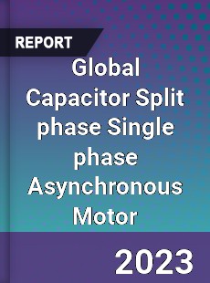 Global Capacitor Split phase Single phase Asynchronous Motor Industry