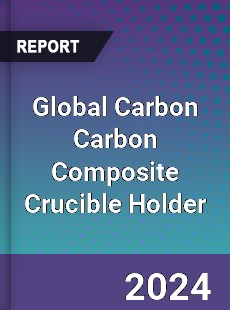 Global Carbon Carbon Composite Crucible Holder Industry