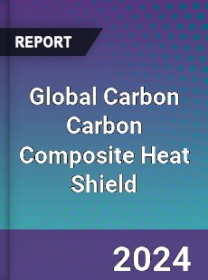 Global Carbon Carbon Composite Heat Shield Industry