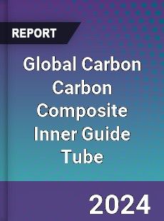 Global Carbon Carbon Composite Inner Guide Tube Industry