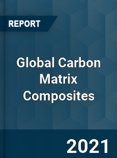 Global Carbon Matrix Composites Industry