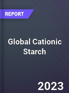 Global Cationic Starch Market