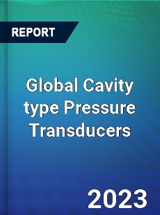 Global Cavity type Pressure Transducers Industry