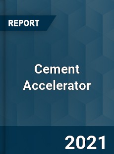 Global Cement Accelerator Professional Survey Report