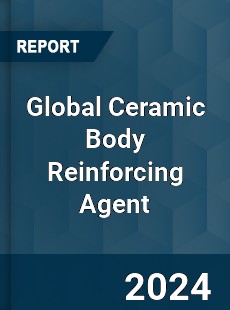 Global Ceramic Body Reinforcing Agent Industry