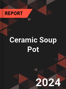 Global Ceramic Soup Pot Outlook