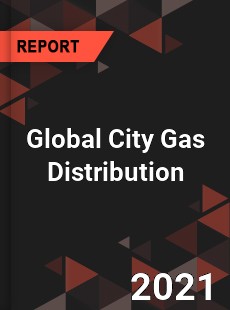 Global City Gas Distribution Market