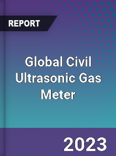 Global Civil Ultrasonic Gas Meter Industry