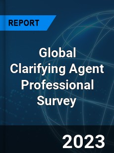 Global Clarifying Agent Professional Survey Report