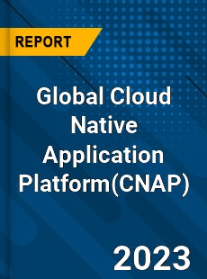 Global Cloud Native Application Platform Industry