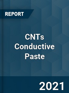 Global CNTs Conductive Paste Professional Survey Report