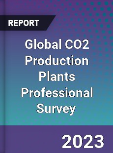 Global CO2 Production Plants Professional Survey Report
