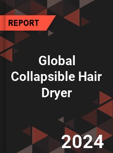 Global Collapsible Hair Dryer Outlook