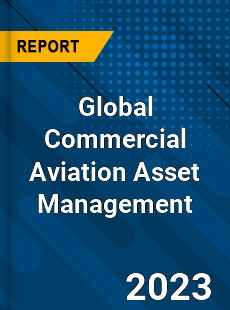 Global Commercial Aviation Asset Management Industry