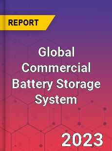 Global Commercial Battery Storage System Industry