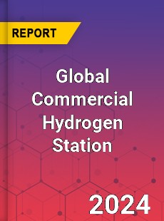 Global Commercial Hydrogen Station Industry